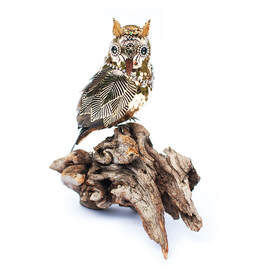 Owl sculpture by Anne Steel